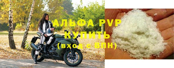СК Аркадак