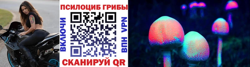 Галлюциногенные грибы Psilocybe  Рошаль 